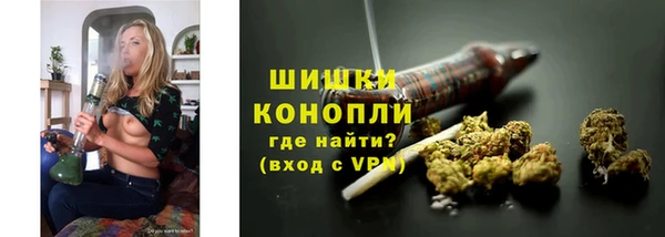 ГАЛЛЮЦИНОГЕННЫЕ ГРИБЫ Болотное