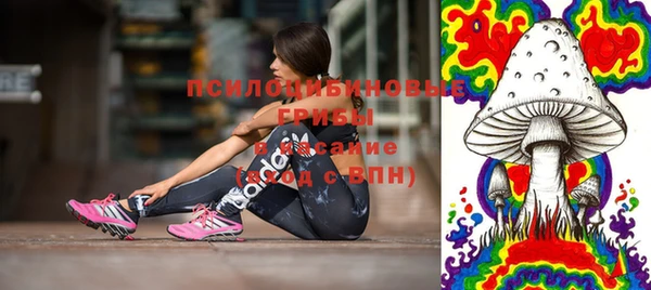 твердый Алексин