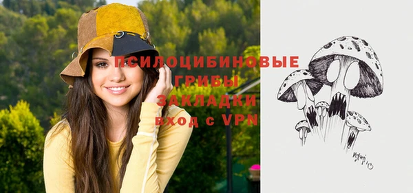 бутират Алексеевка