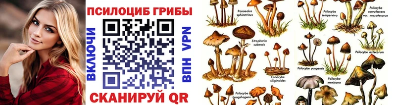 Галлюциногенные грибы мицелий  Калининск 